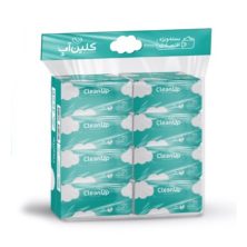 دستمال کلین آپ 8 عددی دو لایه 250 برگ
